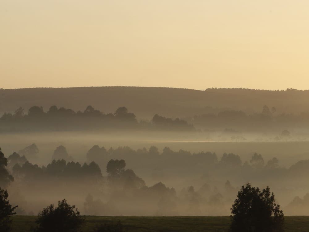 Misty rolling hills with layers of fog under a pale dawn sky