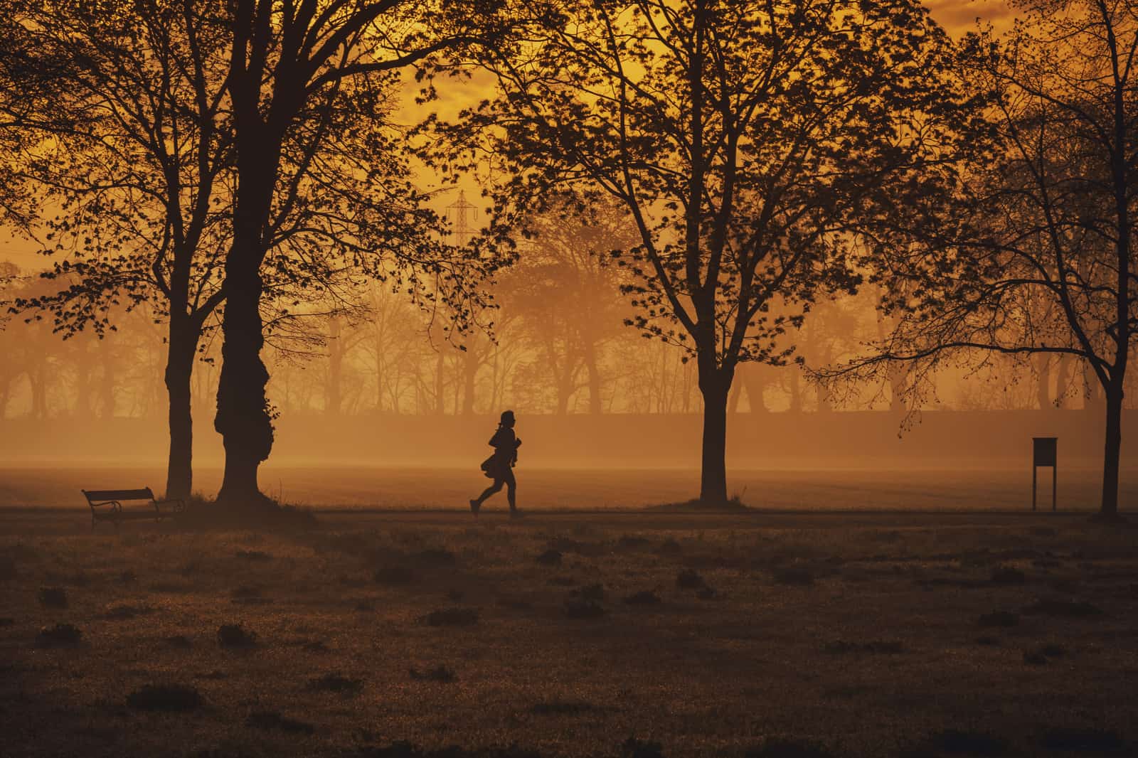 Silhouette of a runner crossing a misty park at an amber sunrise