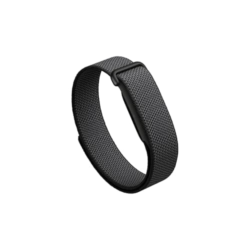 Google Fitbit Air